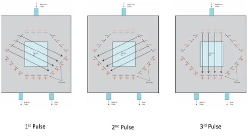 Figura 5. Direzione campi elettrici applicati nella PFGE 