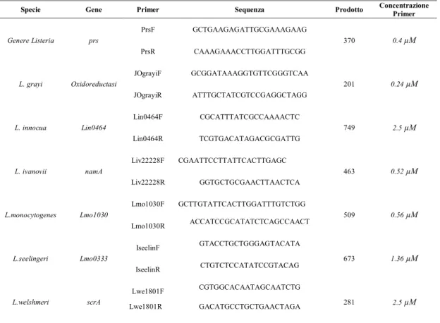 Tabella 1. Primers utilizzati per l’identificazione delle sei specie di Listeria. 