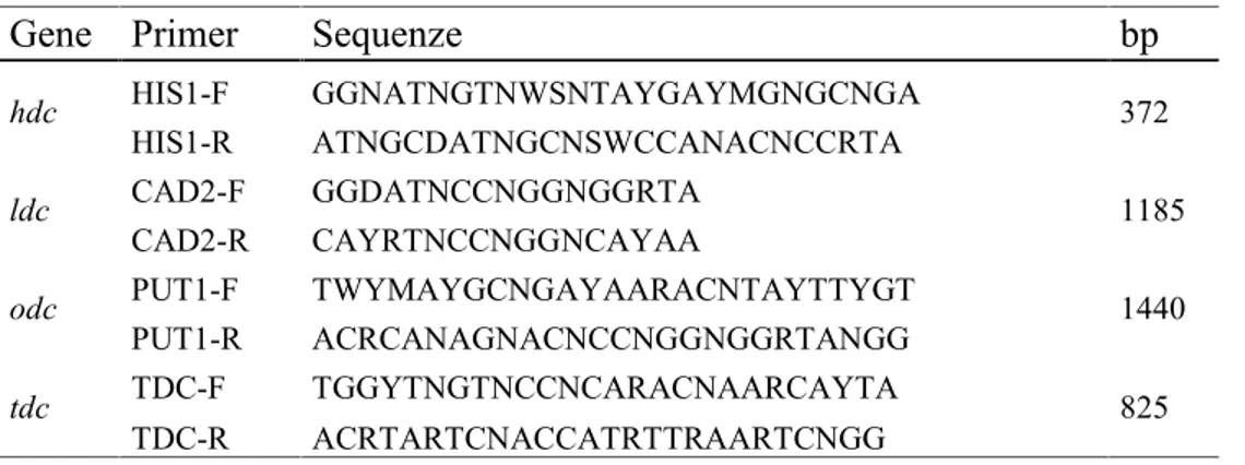 Tabella  1. Primer  utilizzati    per  la  ricerca  dei  geni  responsabili  della decarbossilazione degli amminoacidi