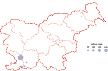 Figura 8: Localizzazione e dimensione delle greggi di pecora razza Istrska Pramenka. 