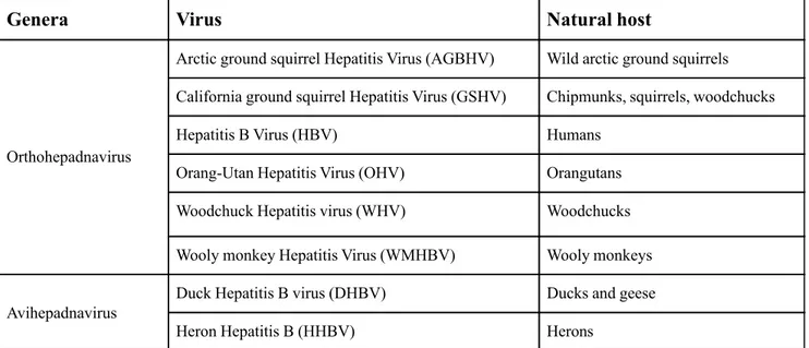Table 1: Hepadnaviridae and their natural hosts