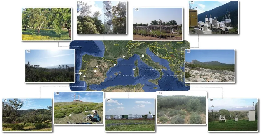 Figure 3. Examples of terrestrial ecosystems and experimental facilities set up to investigate the effects of air pollution and climate  change  in  the  Mediterranean  Basin:  a)  Companhia  das  Lezírias,  Samora  Correia,  Portugal;  b)  Alambre,  Serra