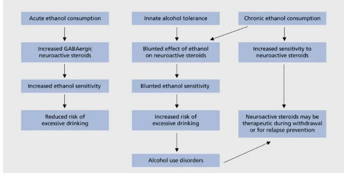 Figure 6. Hypotetical role of neuroactive steroids in alcoholism (Morrow et al., 2006) 