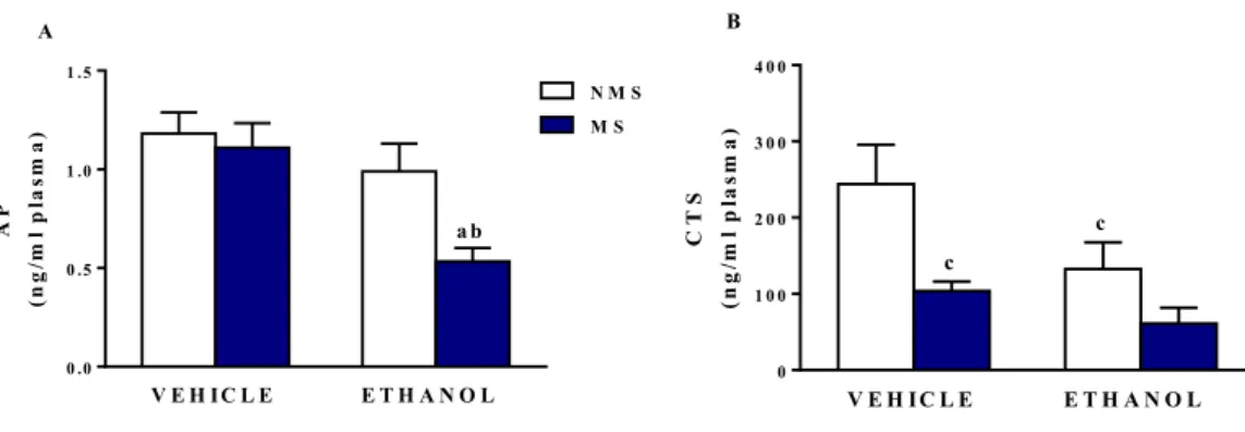 Figure 11: Two months-old rats were divided into 4 experimental groups: non prenatally ethanol  exposed not subjected to maternal separation (VEH NMS), non prenatally ethanol exposed subjected  to maternal separation (VEH MS), prenatally ethanol exposed no