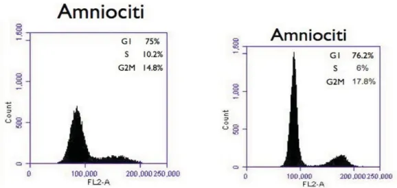 Fig. 7 Valutazione del picco ipodiploide dopo colorazione con ioduro di propidio. L’istogramma mostra il picco delle cellule  nelle fasi del ciclo cellulare (G0/G1, S, G2/M).