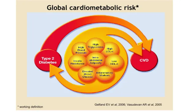 Fig 1.1.Global Cardiometabolic risks  Global cardiometabolic risk*
