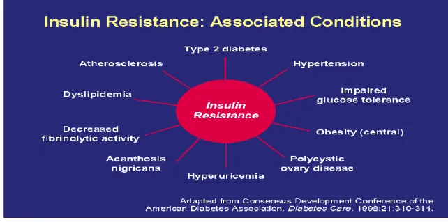 Fig 1.4.Associated conditions to Insulin resistance 