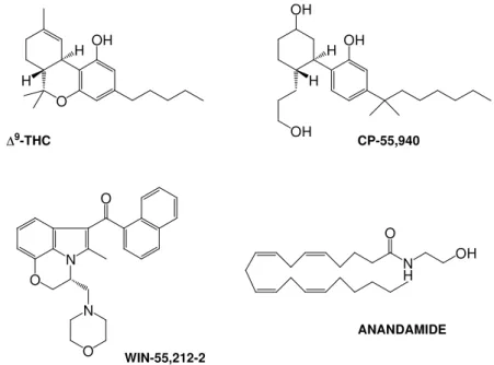 Figura  2.  Formula  di  struttura  dei  composti  cannabinoidergici  ∆ 9 -tetraidrocannabinolo,  CP- CP-55,940, WIN-55,212-2, Anandamide