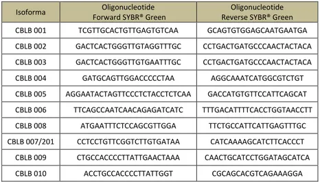 Tab. 2: Set di oligonucleotidi utilizzati per la discriminazione delle isoforme di CBLB  con la chimica SYBR® Green 