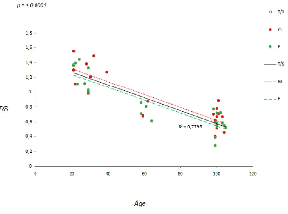 Figura 11: Grafico a dispersione rappresentante la correlazione tra la lunghezza telomerica e l’età 