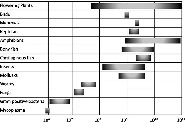 Table 2 Genome size in different living organisms (Lewin, 2004).  