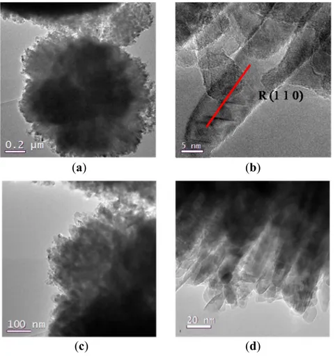 Figure 4.  (a)  TEM  images  of  sample  7;  (b) detail at high resolutions for sample 7;  