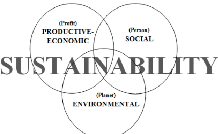 Figure 1. Sustainability definition obtained by integrating concepts from Cooprider et al