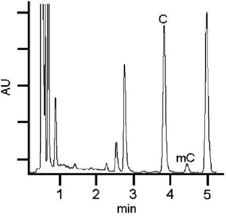 Figura 8. Analisi dei prodotti di idrolisi di 10 µg di DNA da timo bovino