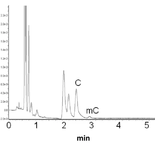 Figura 10. Cromatogramma ottenuto analizzando i prodotti di idrolisi di  10 µg di DNA da timo bovino utilizzando come fase mobile una miscela  acetonitrile/acetato d’ammonio 10 mM 95:5 
