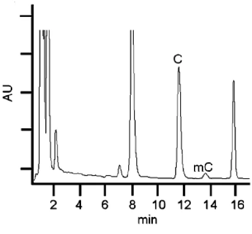 Figura  11.  Cromatogramma  ottenuto  in  un  sistema  per  HPLC  utilizzando  una  colonna per UPLC 