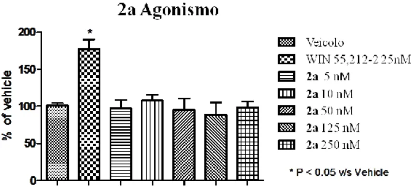 Figura  2.6  Studio  dose/risposta  per  l’espressione  della  P-ERK  1/2,  in  seguito  a  somministrazione  di  WIN  o  di  2d  a  sei  diverse concentrazioni (1nM-125 nM)