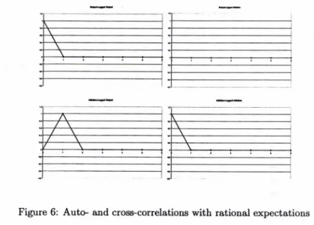 Figure  6:  Auto-  and  cross-correlations  with  rational expectations