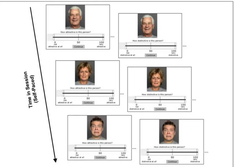 FIGURE 1 | Illustration of the rating procedure. During each session, participants rated the attractiveness and the distinctiveness of different face pictures by adjusting a slider on a scale ranging from 0 to 100