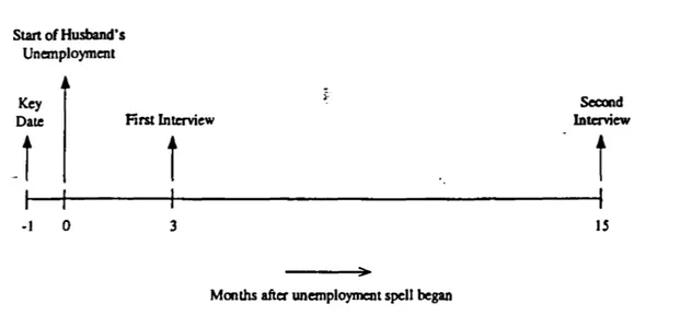 Figure 2.1.  The Structure o f the Living Standards During Unemployment Survey.