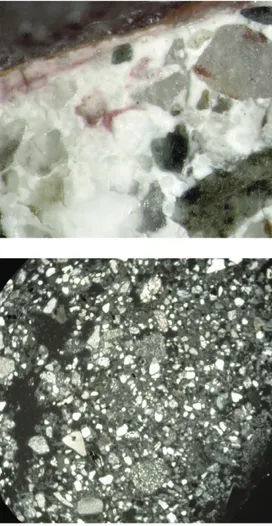 Fig. 10 | Thin section for the characterization of a plaster  sample from Vico Fate in Genoa (photo by R