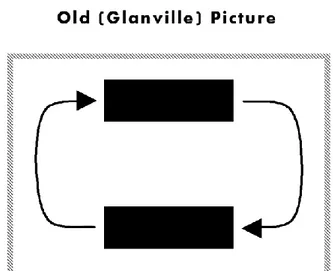 Fig. 8. White boxes versus Black Boxes. (Upper) The Glanville (1982) view that «Inside every White Box  there are two Black Boxes trying to get out»