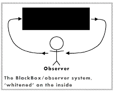 Figure 2 schematizes the ‘white box’. If the observer himself is now taken to be a Black  Box, then the title of Glanville’s paper of 1982 becomes comprehensible: «Inside every  White Box there are two Black Boxes trying to get out»