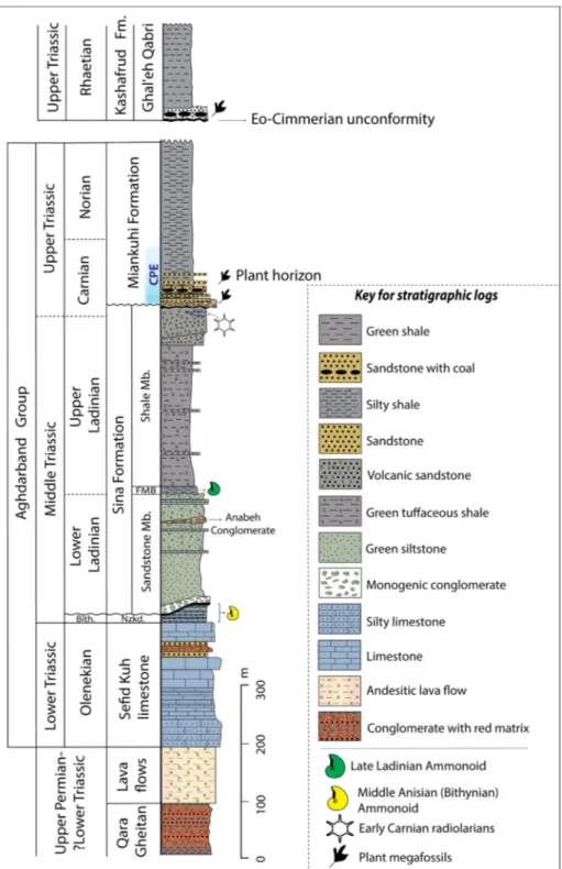 Fig. 3 - General lithostratigraphic  column of  the Triassic  sequence of  the  Aghdar-band  Basin  (modified  from  Ruttner 1991, 1993; Zanchi  et al