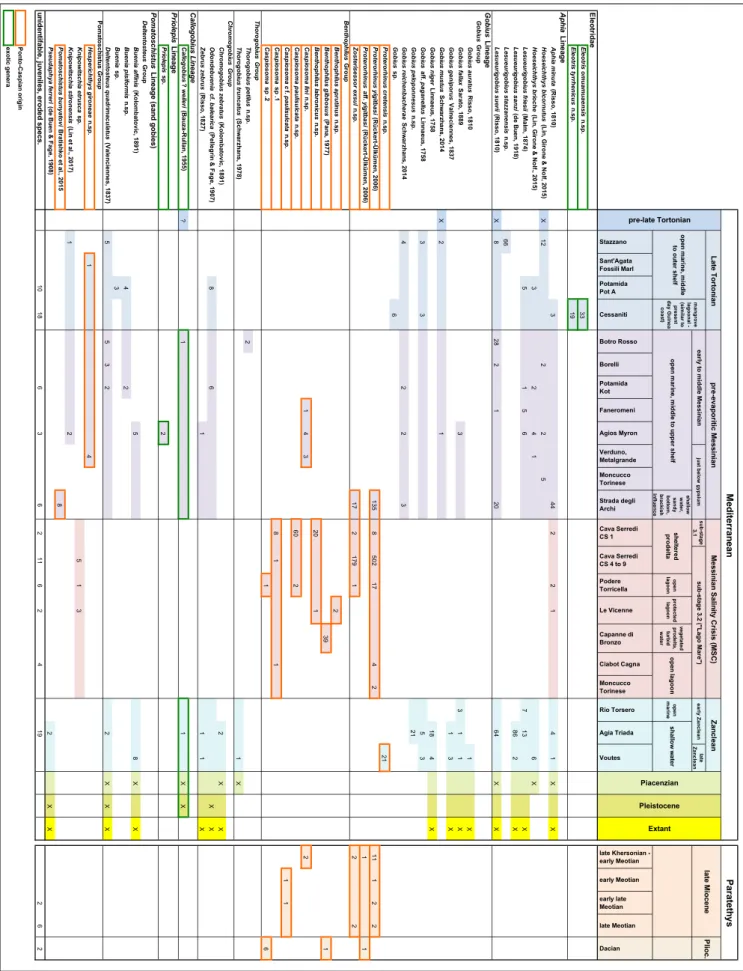 Tab. 1 - Species distribution list. List of  identified gobioid species grouped for localities, stratigraphic intervals, and inferred paleoecological  context of  studied samples from the Mediterranean and Paratethys (Dacic Basin) for this study