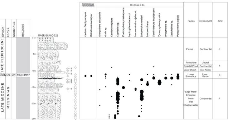 Fig. 6 - Stratigraphic log of  the Magrignano-S22 borehole with the range chart of  selected calcareous nannofossils and microfossils (modified  from Bossio et al