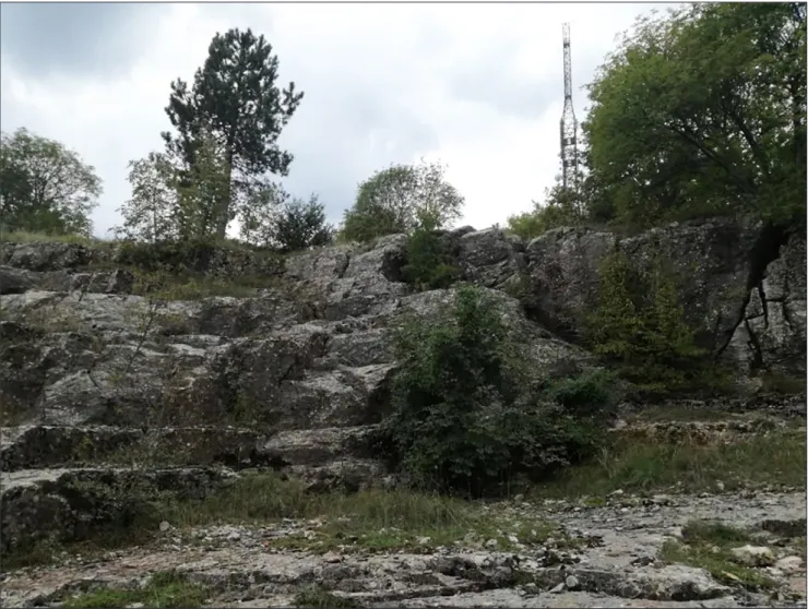 Fig. 4 - Overview of  the Monte Peglia outcrop in 2019.