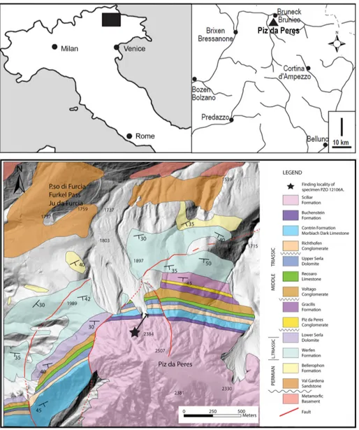 Fig. 1 - Geographic setting and  simplified  geological  map  of  the locality Piz da  Peres