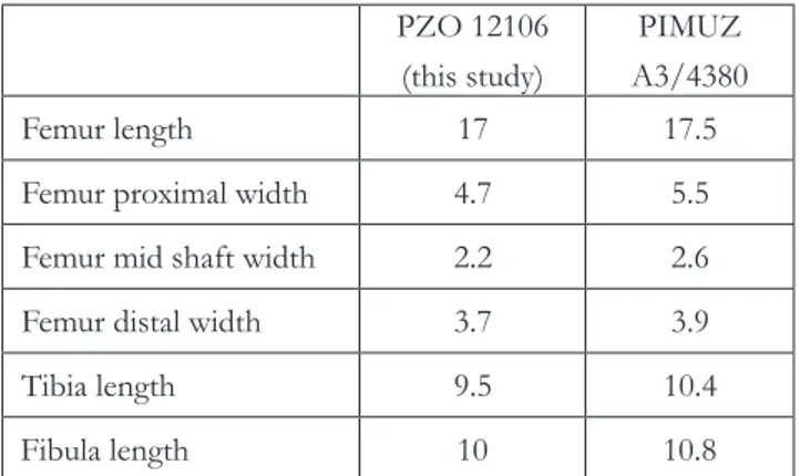 Tab. 1 - Measurements (in mm) of  hindlimb bones of  PZO 12106A  compared with the same elements of, specimen PIMUZ  A3/4380 attributed to Eusaurosphargis dalsassoi (data from  Scheyer et al
