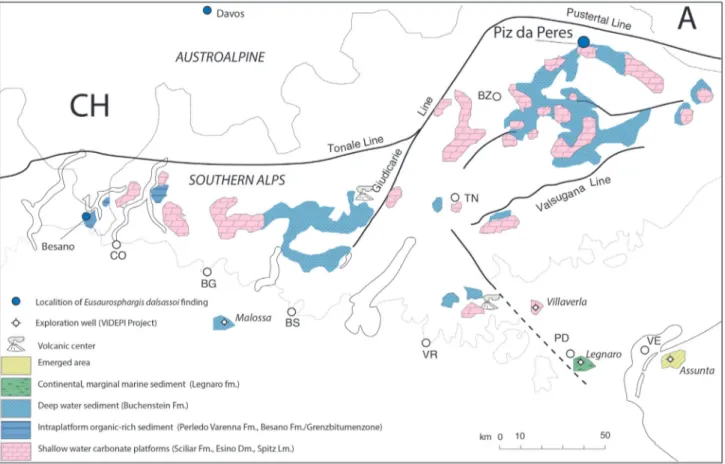 Fig. 6 - Schematic paleogeographic reconstruction of  the Southern Alps during the deposition of  the Plattenkalke member of  the Buchenstein  Formation.