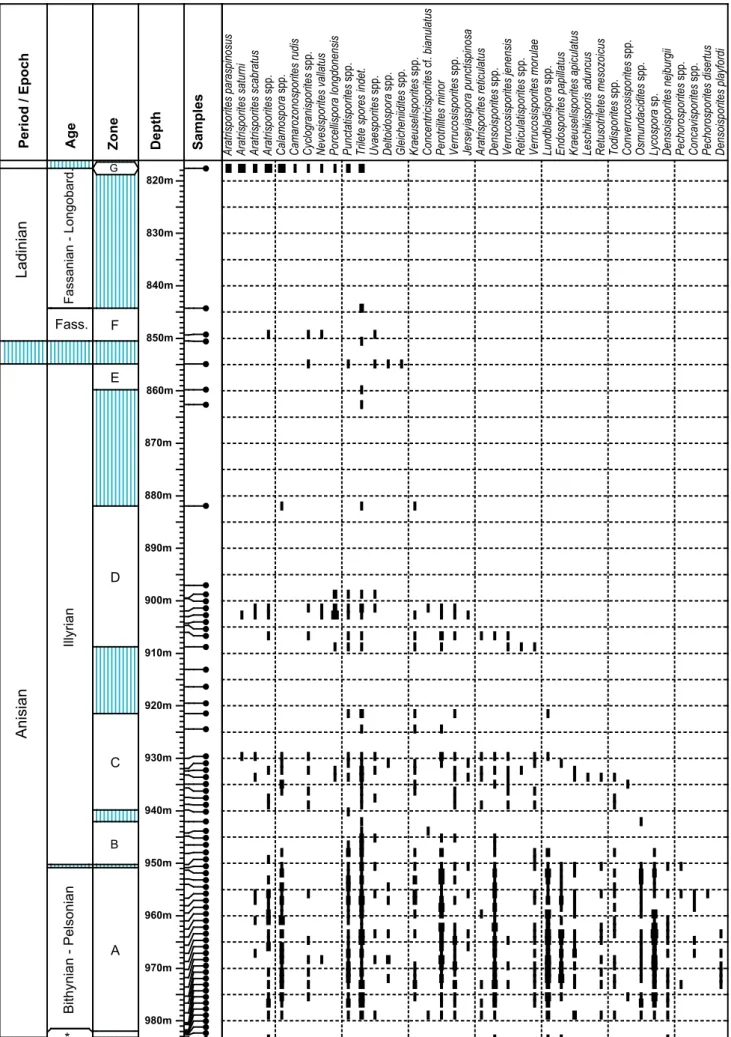 Fig. 7 - Ranges of  spore taxa at Weiach arranged by their last stratigraphic occurrence