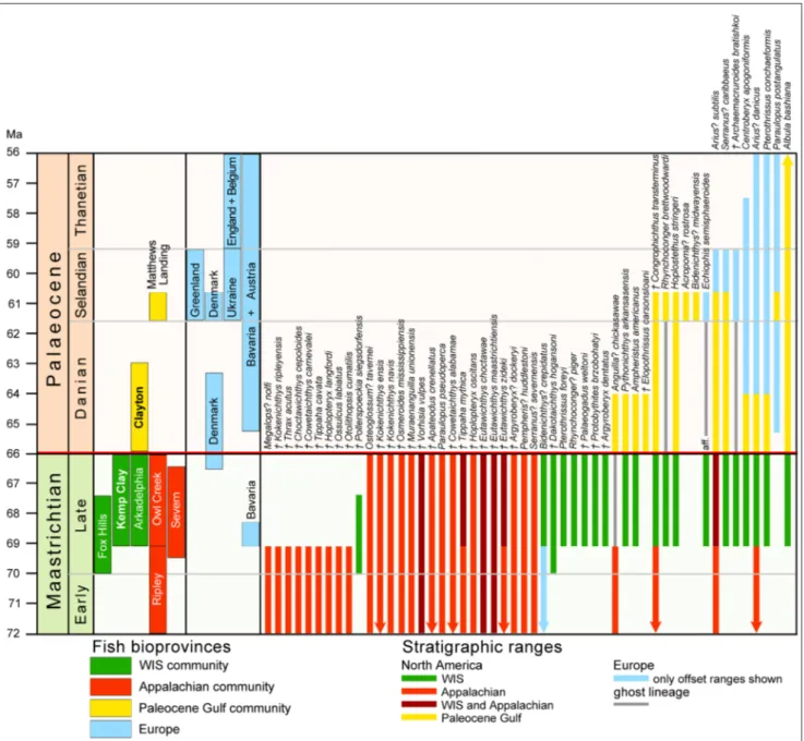 Fig. 13 - Stratigraphic ranges of  otolith-based species from the WIS and Appalachian faunal communities in the Maastrichtian and Paleocene  communities in the Gulf  Coastal Plain and Europe showing extinction and survival of  species across the K-Pg bound