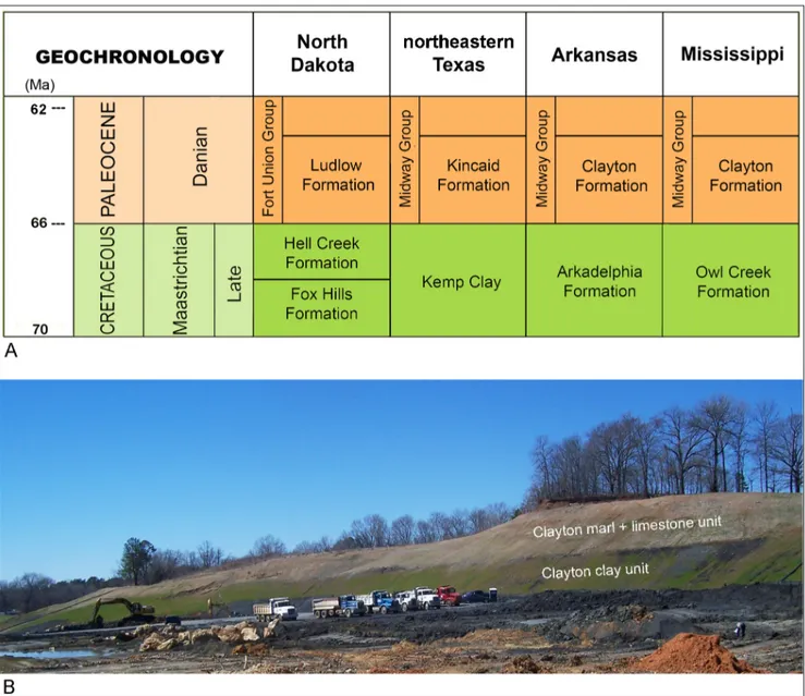 Fig. 2 - A) Generalized stratigraphic correlation of  the late Maastrichtian and Danian formations of  North Dakota, Texas, Arkansas, and  Mississippi