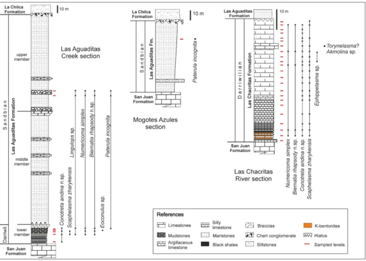 Fig. 2 - Stratigraphic columns showing species ranges of the Las Aguaditas Formation in the Las Aguaditas Creek and Mogotes Azules sections  and of the Las Chacritas Formation in the Las Chacritas River section