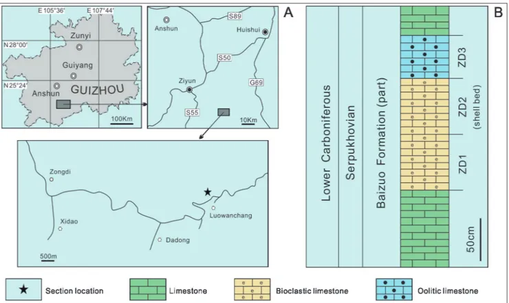 Fig. 1 - Location map (A) and lithological column (B) of  the studied section near Luowanchang Village, Zongdi Town, Ziyun County, Guizhou,  China.