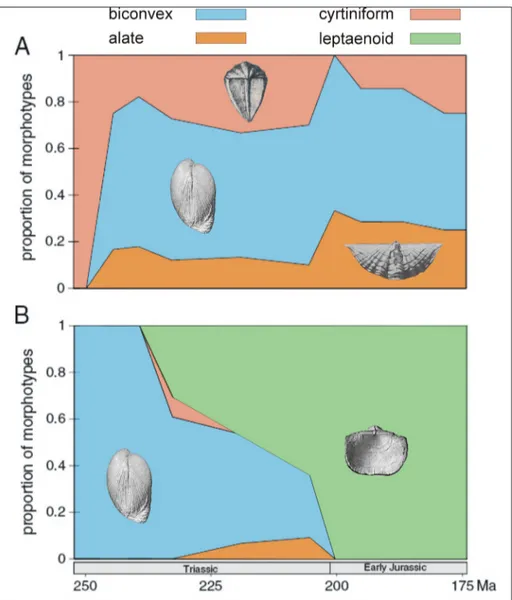 Fig. 8 - Temporal changes in the  proportion of   morpholog-ical types of  spire-bearing  genera during the Triassic  to Early Jurassic interval