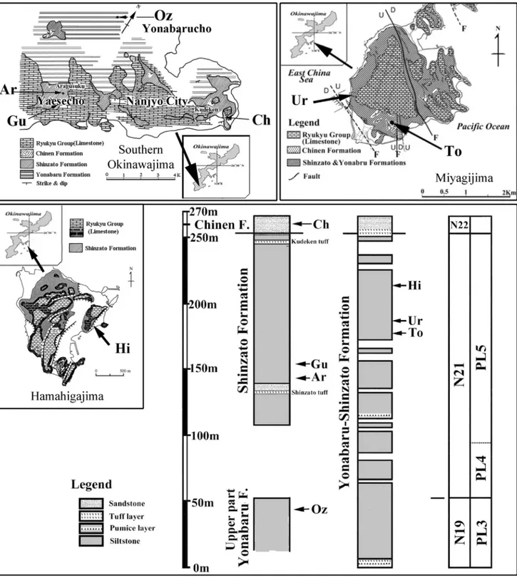 Fig. 2 - Okinawa region location plate. Map of  southern Okinawajima from Tsuchi (1975), map of  Hamahigajima from Oshimizu &amp; Iryu  (2002), map from Miyagijima from Hanagata (2004) Left stratigraphic column refers to southern Okinawajima after Ibaraki 