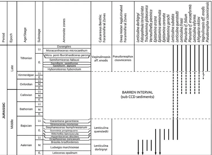 Fig. 7 - Stratigraphic ranges of  some smaller benthic foraminifera in the Magura Basin (Middle Jurassic foraminifera modified after Tyszka  1999; Gedl &amp; Józsa 2015)