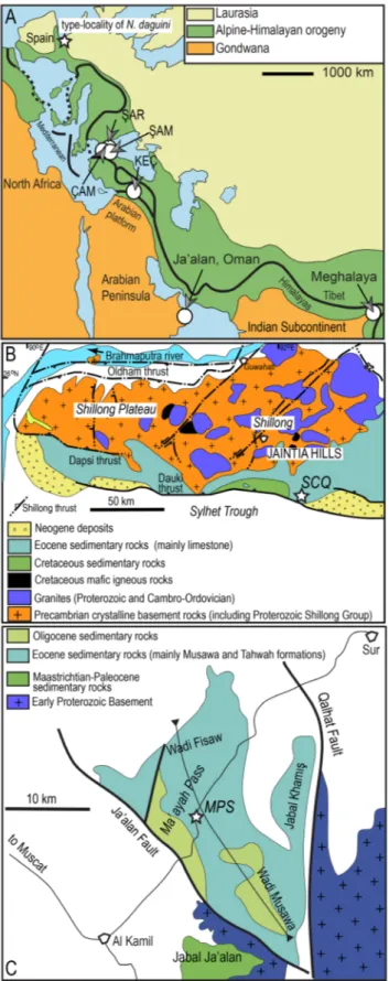 Fig. 1 - A) Alpine-Himalayan belt and location of Ja’alan region in  East Oman and Star Cement Quarry in Meghalaya,  North-east India