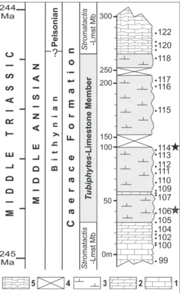 Fig. 5 - Stratigraphic log for the Tubiphytes-Limestone Member in the  Mahmudia  quarry  showing  the  position  of   the  layers  106  and 114 (main layer)  of  the studied Bithynian brachiopods.