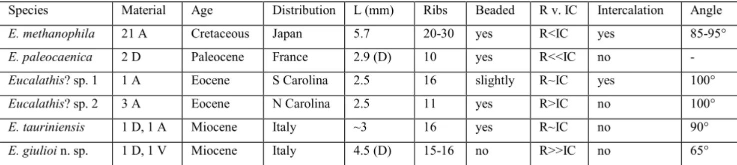 Tab. 2 - Comparison of  some significant characteristics of  known fossil species of Eucalathis