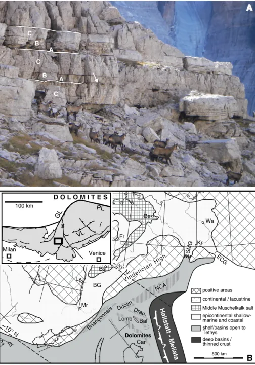 Fig. 1 - A) Outcrop photograph of   the Dolomia Principale  lo-wer peritidal member near  Rifugio Alimonta, along  the track leading to Rifugio  Brentei showing  predomi-nant well-bedded dolomites