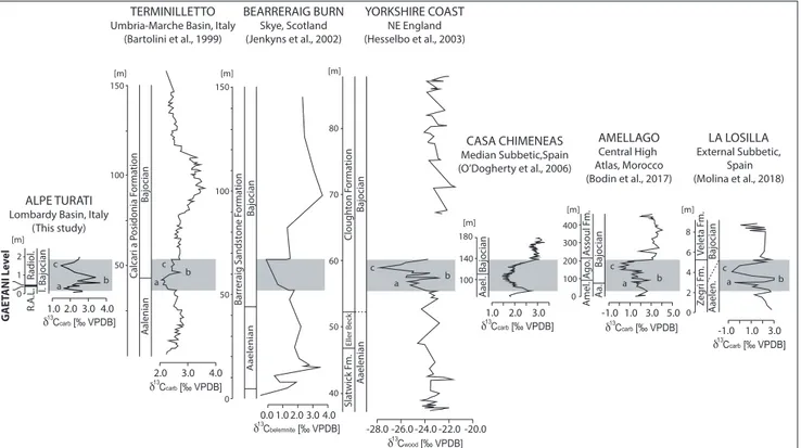 Fig. 5 - Chemostratigraphic correlation of  the Alpe Turati section with Terminilletto (Bartolini et al