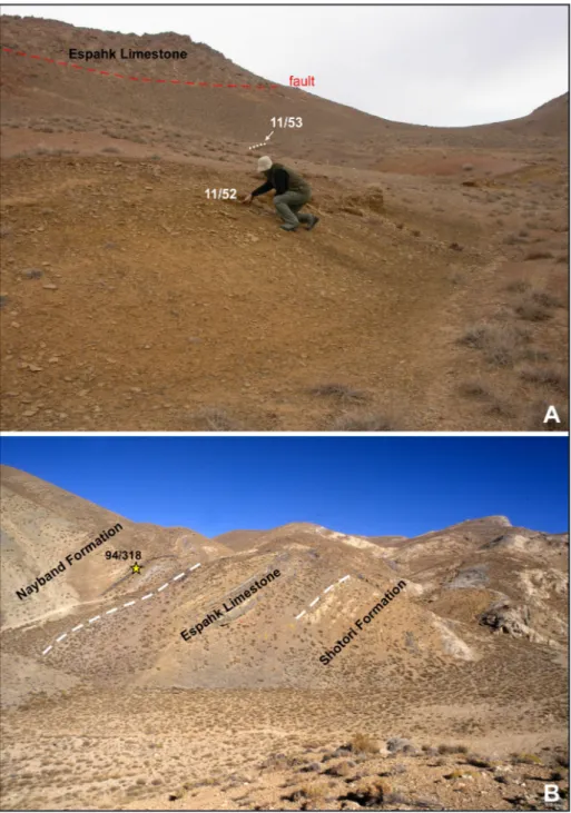 Fig. 3 - Field photoes of  the studied  localities. A) Panchar  Moun-tain (fossil locality 1), with  position of  the two  ammo-noid-bearing beds; B)  Pesh-keh, (fossil locality 2), with  position of  the ammonoid  sample 94/318.
