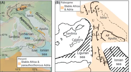 Fig. 2 - A) The present setting of the  Italian peninsula with indication  of areas considered  parauthoc-thonous relative to Africa