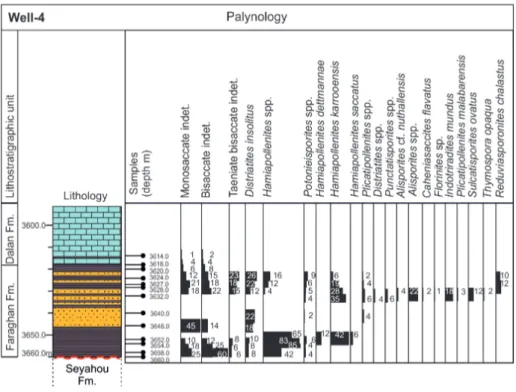 Fig. 9 - Well-4: stratigraphic log (for  the legend see Fig. 16) and  distribution chart of   palyno-morphs